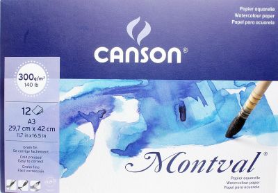 canson a3 1600
